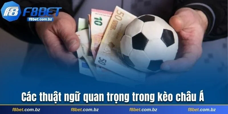 Các thuật ngữ quan trọng trong kèo châu Á mà bạn cần nắm