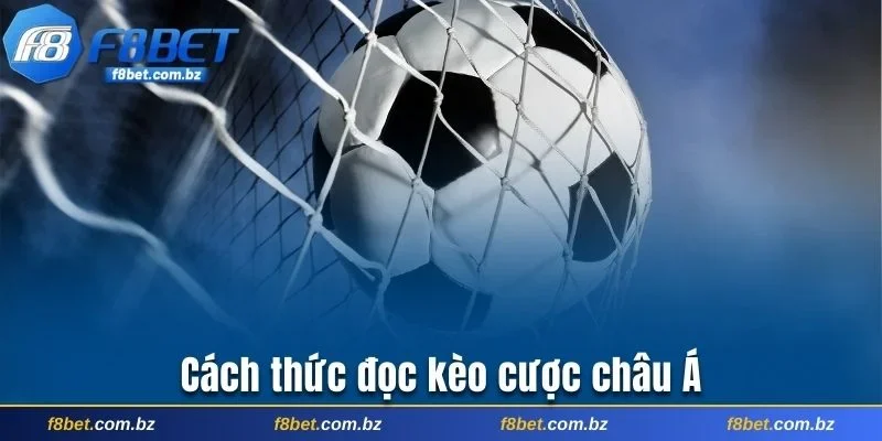 Cách thức đọc kèo cược châu Á