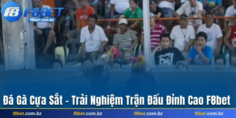 Đá gà cựa sắt