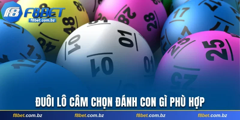 Đuôi lô câm chọn đánh con gì phù hợp