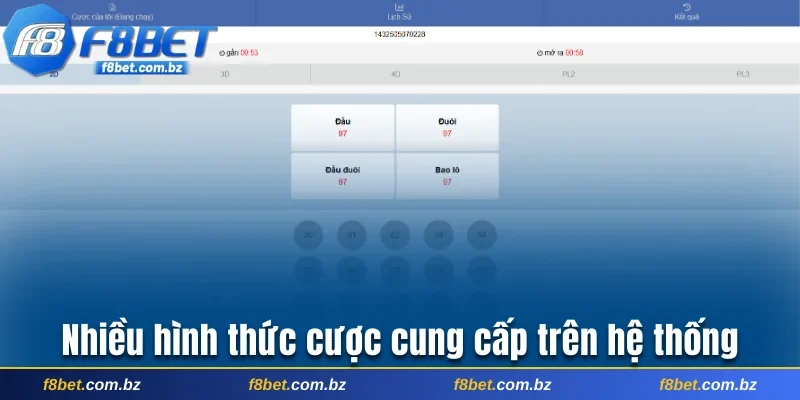 Nhiều hình thức cược cung cấp trên hệ thống