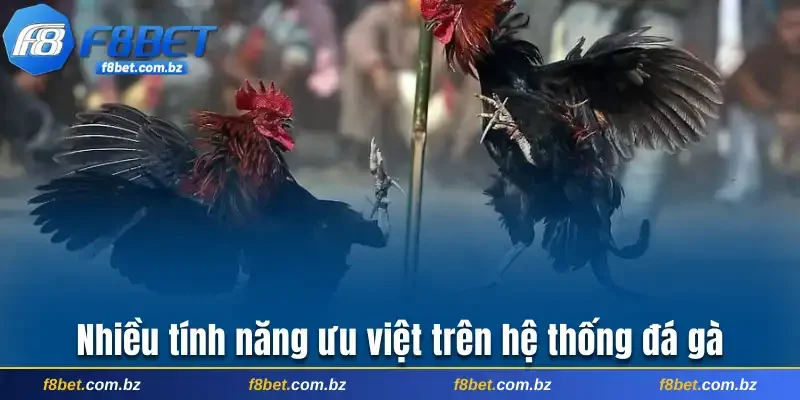 Nhiều tính năng ưu việt trên hệ thống đá gà
