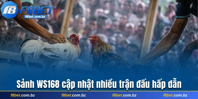 Sảnh WS168 cập nhật nhiều trận đấu hấp dẫn