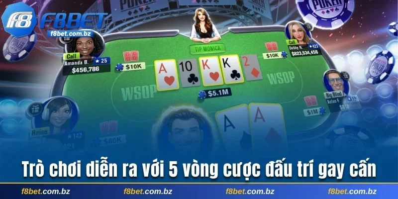 Trò chơi diễn ra với 5 vòng cược đấu trí gay cấn